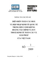 DIỄN BIẾN TOÀN CẦU HOÁ VÀ HỘI NHẬP KINH TẾ QUỐC TẾ TRONG BỐI CẢNH KHỦNG HOẢNG TÀI CHÍNH VÀ SUY THOÁI KINH TẾ TOÀN CẦU VÀ GIẢI PHÁP CỦA VIỆT NAM