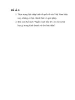 Thực trạng hội nhập kinh tế quốc tế của việt nam hiện nay những cơ hội, thách thức