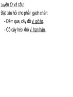 bài giảng luyện từ và câu lớp 2 từ ngữ về sông biển  dấu phẩy