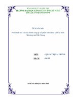 Tiểu luận môn quản trị tài chính phân tích báo cáo tài chính công ty cổ phần khai thác và chế biến khoáng sản bắc giang BGM 