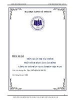 Tiểu luận quản trị tài chính phân tích tài chính công ty cổ phần vận tải biển việt nam mã chứng khoán VOS 