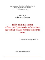 Tiểu luận quản trị tài chính phân tích tài chính công ty cổ phần đầu tư hạ tầng kỹ thuật thành phố hồ chí minh 