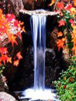 bài giảng luyện từ và câu lớp 2 ngôn ngữ của muông thú