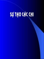các bộ phận trong xương của cơ thể người