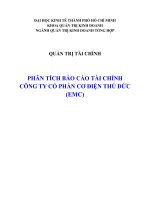 Tiểu luận quản trị tài chính phân tích báo cáo tài chính công ty cổ phần cơ điện thủ đức mã chứng khoán EMC 