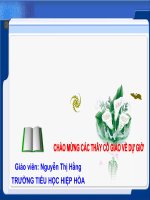 bài giảng tập đọc lớp 2  cây xoài của ông em
