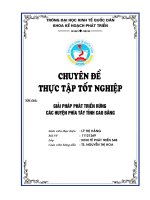 Giải pháp phát triển rừng các  huyện phía tây tỉnh cao bằng