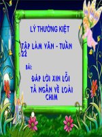 tập làm văn lớp 2  đáp lời xin lỗi tả về loài chim