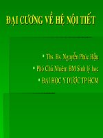 đại cương hệ nội tiết