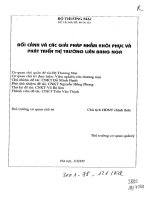 Bối cảnh và các giải pháp nhằm khôi phục và phát triển trường liên bang nga