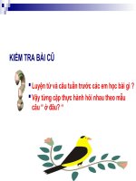 luyện từ và câu tuần 22 lớp 2