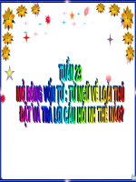 bài giảng luyện từ và câu lơp 2 tuần 21