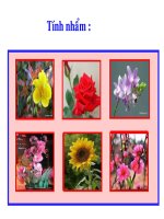 bài giảng toán lớp hai bài một phần hai