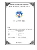 Phương thức thâm nhập thị trường australia của công ty cổ phần cao su sài gòn KYMDAN