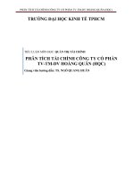 Tiểu luận quản trị tài chính phân tích tài chính công ty cổ phần tư vấn thương mại dịch vụ hoàng quân mã chứng khoán HQC 