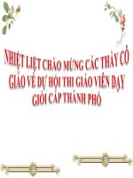 bài giảng tự nhiên xã hội lớp 2