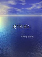 hệ tiêu hóa ở cơ thể người