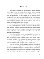 Nghiên cứu đặc điểm lâm sàng, cận lâm sàng và kết quả phẫu thuật thay van hai lá điều trị bệnh van hai lá có tăng áp lực động mạch phổi nặng