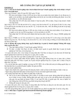 Đề Cương ôn tập luật kinh tế