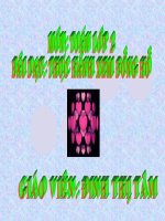 bài giảng tóa lớp 2 bài thực hành xem đồng hồ