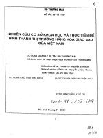 Nghiên cứu cơ sở khao học và thực tiễn để hình thành thị trường hàng hóa giao sau của việt nam