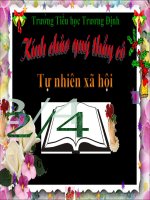 bài giảng tự nhiên xã hội lớp 2 tuần 6 hệ tiêu hóa