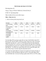 Tiểu luận quản trị tài chính phân tích báo cáo tài chính công ty cổ phần phát triển hạ tầng kỹ thuật mã chứng khoán IJC 