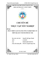 PHÁT TRIỂN cụm NGÀNH CÔNG NGHIỆP điện tử TRÊN địa bàn THÀNH PHỐ hà nội