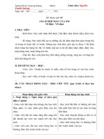 Giáo án mỹ thuật đan mạch lớp 2 cả năm  file word 