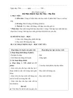 Giáo án ôn luyện buổi chiều môn tiếng việt  chính tả lớp 4 theo vnen 