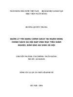 Quản lý tín dụng chính sách tại Ngân hàng Chính sách xã hội đáp ứng mục tiêu giảm nghèo, đảm bảo an sinh xã hội (TT)