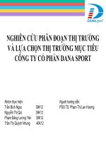 phân tích chiến lược phân đoạn thị trường của công ty Danasport Đà Nẵng