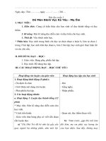 Giáo án ôn luyện buổi chiều môn tiếng việt  rèn đọc lớp 4 theo vnen 