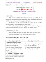 Giáo án mĩ thuật đan mạch soạn theo chủ đề lớp 4 