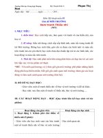 Giáo án mỹ thuật đan mạch lớp 3 cả năm  file word 