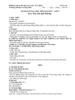 Giáo án Đạo đức lớp  5  kì 2