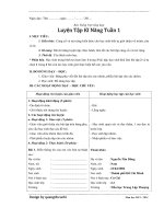 Giáo án ôn luyện buổi chiều môn tiếng việt luyện từ lớp 2 soạn theo vnen 