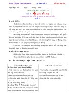 Giáo án mĩ thuật đan mạch soạn theo chủ đề lớp 5 