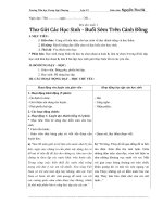 Giáo án ôn luyện buổi chiều môn tiếng việt rèn đọclớp 5 soạn theo vnen 