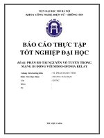 Phân bổ tài nguyên vô tuyến trong mạng di động với MIMO OFDMA RELAY