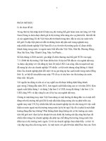 Sự tác động của nhánh văn hóa trong khách hàng việt nam đến việc sử dụng các mặt hàng may mặc 