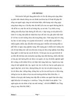 Báo cáo khởi sự doanh nghiệp áo ngăn ngừa các tác nhân có hại của môi trường