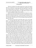 Tiểu luận chuyên viên chính tự ý chuyển đổi mục đích sử dụng đất, xây nhà không phép