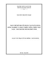 Hạn chế rủi ro tín dụng tại ngân hàng nông nghiệp và phát triển nông thôn việt nam  chi nhánh thành phố vinh 