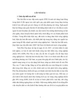 Thu hút vốn đầu tư trực tiếp nước ngoài (FDI) để phát triển công nghiệp ở tỉnh phú thọ