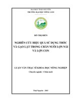 Nghiên cứu hiệu quả sử dụng thóc và gạo gật trong chăn nuôi lợn nái và lợn con