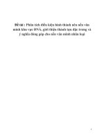 Phân tích điều kiện hình thành nên nền văn minh khu vực đông nam á