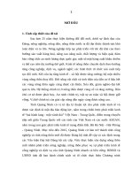 Giải pháp xây dựng nông thôn mới tỉnh quảng ninh, giai đoạn 2013   2020