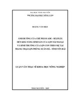 Ảnh hưởng của chế phẩm ADE  selplex đến khả năng sinh sản của lợn nái ngoại và sinh trưởng của lợn con theo mẹ tại trang trại lợn Phùng Xuân Hà  tỉnh Yên Bái