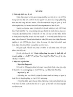 Hoàn thiện công tác quản lý thuế đối với doanh nghiệp có vốn ĐTNN tại cục thuế tỉnh phú thọ